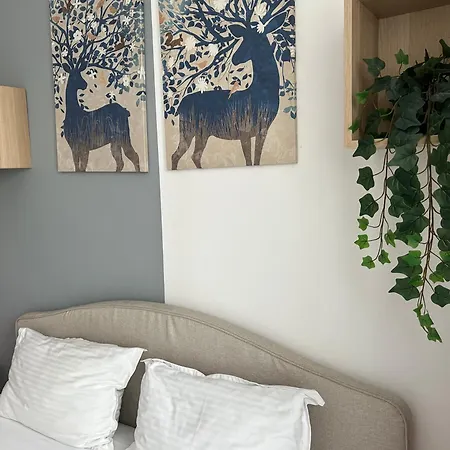 Elegant In Ivory - Ac & Smart Tv *